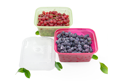 Без имени-1.png